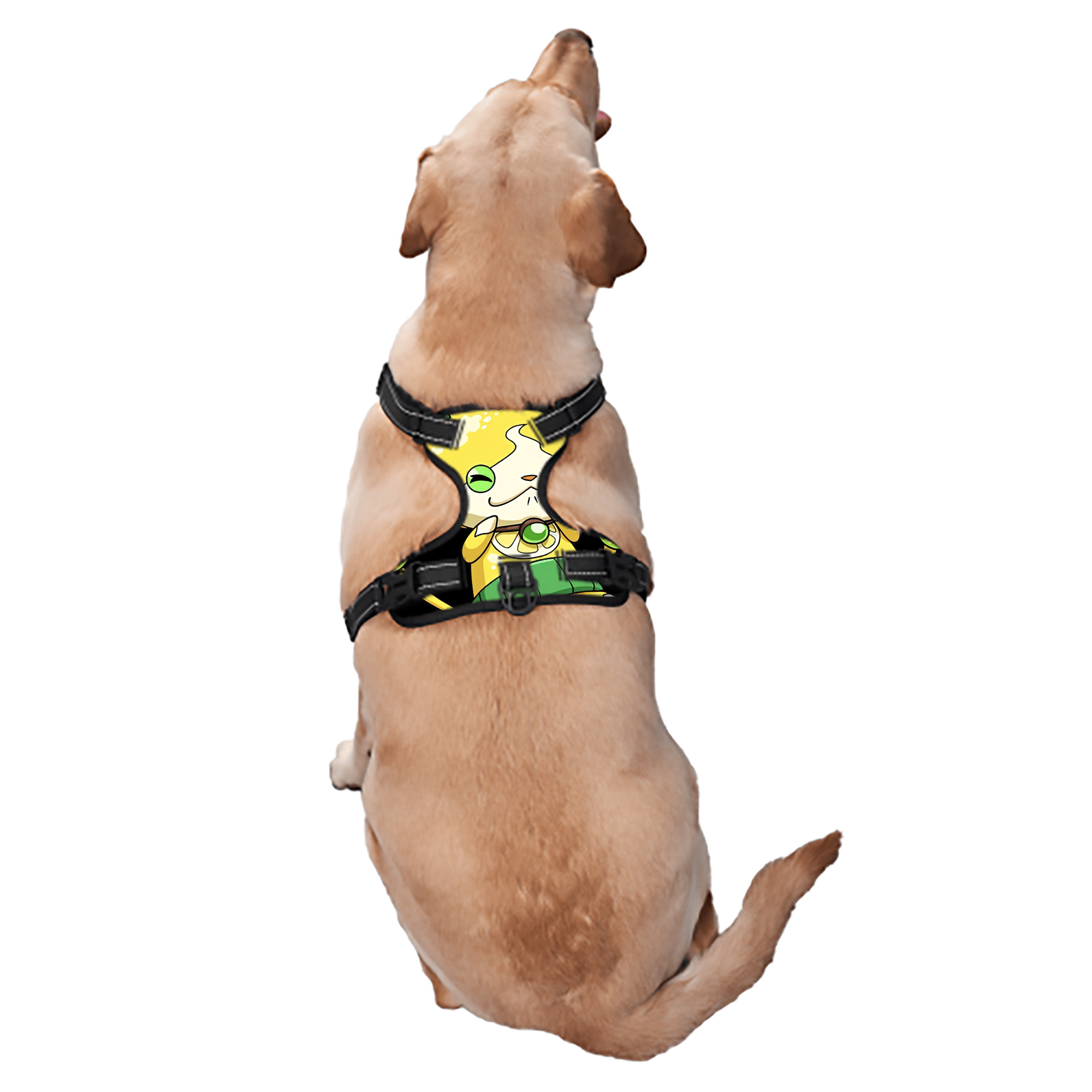（画像用） 妖怪ウォッチ Yo-kai Watch ペット用ハーネス